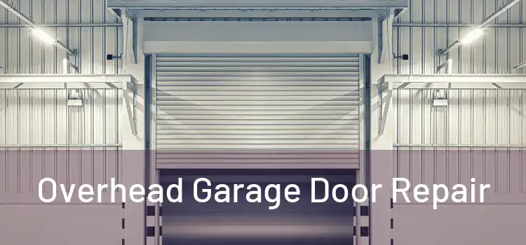  Overhead Garage Door Repair 